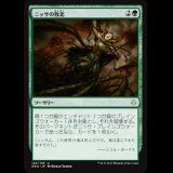 ニッサの敗北/Nissa's Defeat [HOU]