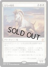 冠毛の陽馬/Crested Sunmare [HOU]