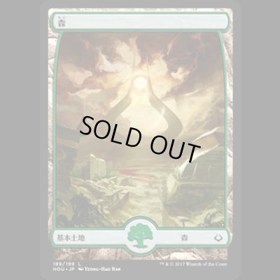 画像1: 森/Forest (189) [HOU]