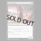 呪われた者の王/Lord of the Accursed [AKH]