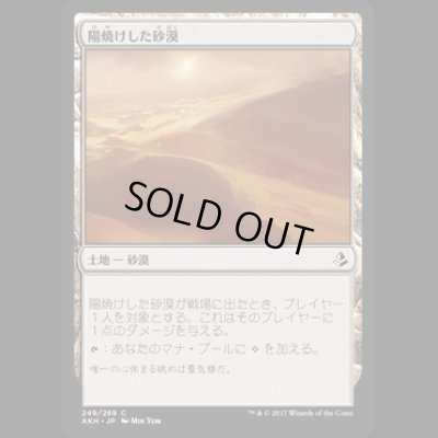 画像1: 陽焼けした砂漠/Sunscorched Desert [AKH]