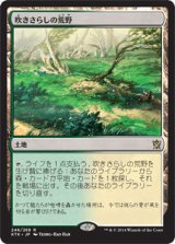 吹きさらしの荒野/Windswept Heath [KTK]