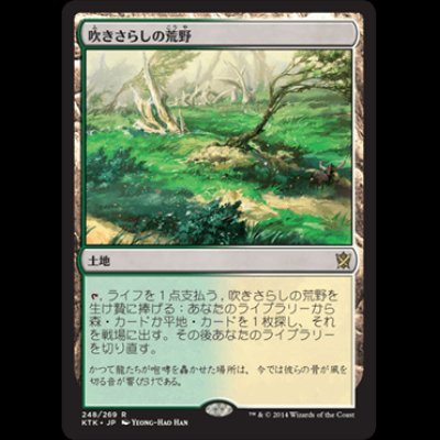 画像1: 吹きさらしの荒野/Windswept Heath [KTK]