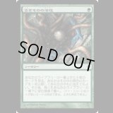 古きものの活性/Ancient Stirrings [ROE]