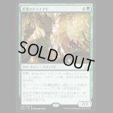 [FOIL] 若葉のドライアド/Tendershoot Dryad [RIX]