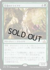 [FOIL] 若葉のドライアド/Tendershoot Dryad [RIX]