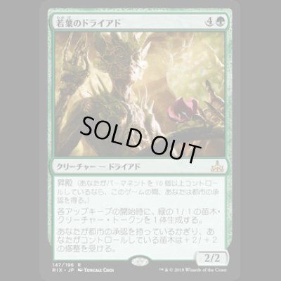 画像1: [FOIL] 若葉のドライアド/Tendershoot Dryad [RIX]