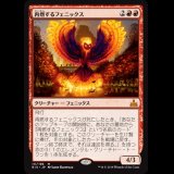 再燃するフェニックス/Rekindling Phoenix [RIX]