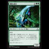 俊敏な番人/Swift Warden [RIX]