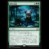 異界の進化/Eldritch Evolution [EMN]