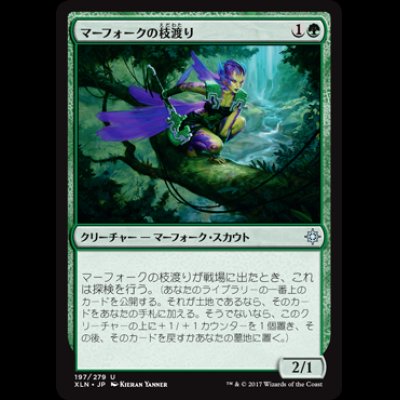 画像1: マーフォークの枝渡り/Merfolk Branchwalker [XLN]