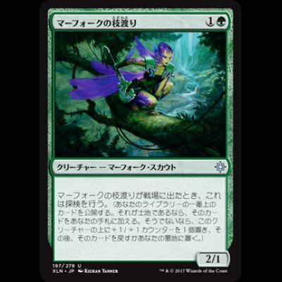 画像1: マーフォークの枝渡り/Merfolk Branchwalker [XLN]