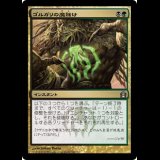 ゴルガリの魔除け/Golgari Charm [RTR]