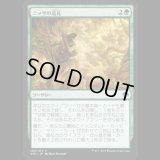 ニッサの巡礼/Nissa's Pilgrimage [ORI]