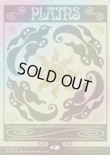 [FOIL] 平地/Plains  (No.888)[SLD]