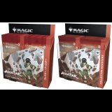 [予約] マジック：ザ・ギャザリング | アバター 伝説の少年アン 日本語版、英語版コレクター・ブースターBOXセット