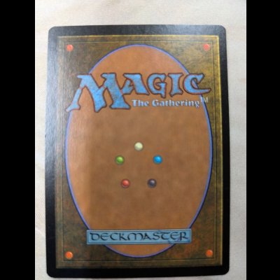 画像3: ガイアの揺籃の地/Gaea's Cradle [USG]