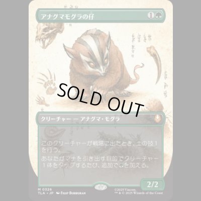 画像1: [ボーダレス] アナグマモグラの仔/Badgermole Cub [TLA]