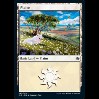 画像1: 平地/Plains (45) [JMP]