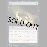 発掘/Unearth [2X2]