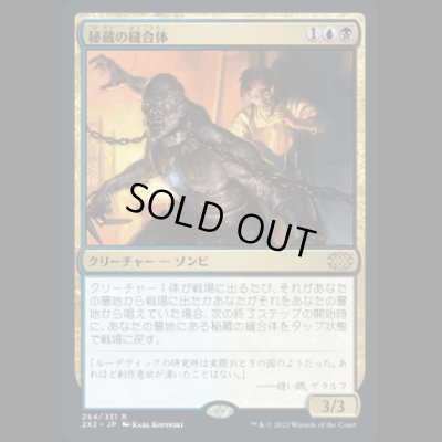 画像1: 秘蔵の縫合体/Prized Amalgam [2X2]