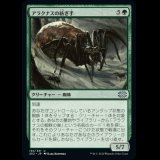 アラクナスの紡ぎ手/Arachnus Spinner [2X2]