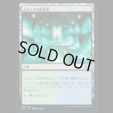 シミックの成長室/Simic Growth Chamber [2X2]