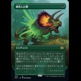 [ボーダーレス] 硬化した鱗/Hardened Scales [2X2]