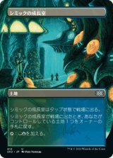 [ボーダーレス] シミックの成長室/Simic Growth Chamber [2X2]