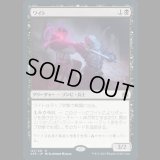 ワイト/Wight [AFR]