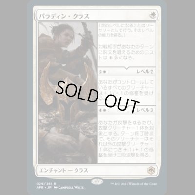 画像1: パラディン・クラス/Paladin Class [AFR]