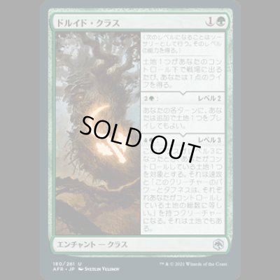 画像1: ドルイド・クラス/Druid Class [AFR]