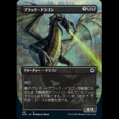 画像1: [ボーダーレス版] ブラック・ドラゴン/Black Dragon [AFR]