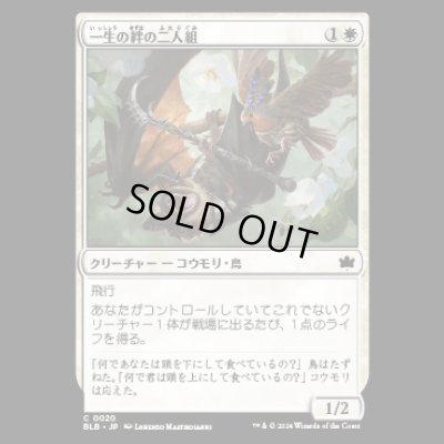 画像1: 一生の絆の二人組/Lifecreed Duo [BLB]