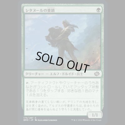 画像1: シタヌールの重鎮/Citanul Stalwart [BRO]