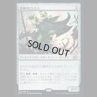 画像1: 常緑のビヒモス/Perennial Behemoth [BRO]