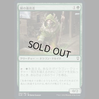 画像1: 鱗の養育者/Scaled Nurturer [CLB]