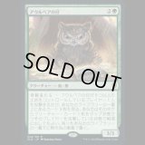 アウルベアの仔 /Owlbear Cub [CLB]