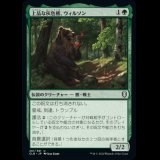 上品な灰色熊、ウィルソン/Wilson, Refined Grizzly [CLB]