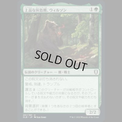 画像1: 上品な灰色熊、ウィルソン/Wilson, Refined Grizzly [CLB]