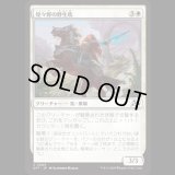 煌々野の野生馬/Brightfield Mustang [DFT]
