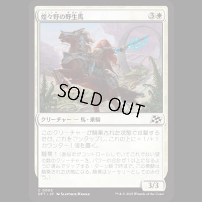 画像1: 煌々野の野生馬/Brightfield Mustang [DFT]