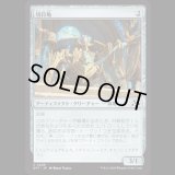 切符亀/Ticket Tortoise [DFT]