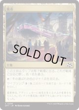 夜市/Night Market [DFT]