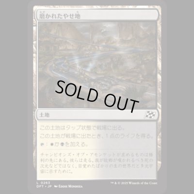 画像1: 磨かれたやせ地/Scoured Barrens [DFT]