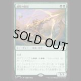 網撃の精鋭/Webstrike Elite [DFT]