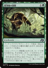 浚渫機の洞察/Dredger's Insight [DFT]