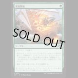 進路開通/Plow Through [DFT]