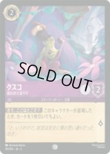 クスコ 追われてるラマ [02]