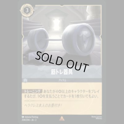 画像1: 筋トレ器具 [02]